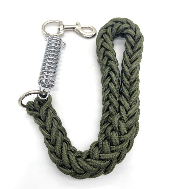 Dog Leash